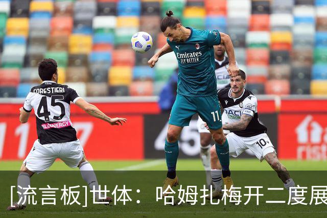 [流言板]世体：哈姆扎梅开二度展现全能中锋特质，他可竞争巴萨9号位
